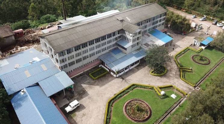 munnar tea factory